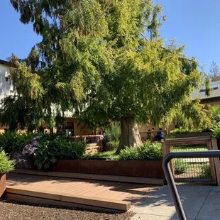 Grand opening November 2021: outdoor area. They have benches and a few small tables for kids to snack/picnic