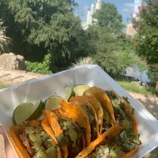 a hand holding a plate of tacos