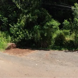 Parking area and trail entrance behind the mailboxes.