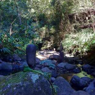 Someone had balanced rocks along the riverbed, Tongan style