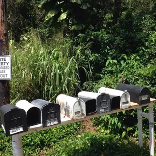 Trail entrance is just behind the mailboxes. You'll have to peek in the bushes to find it. Pretty cool!
