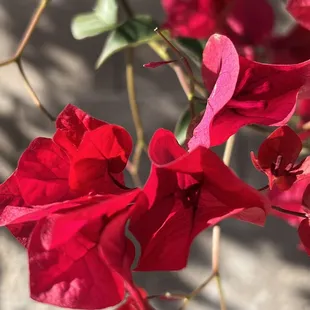 Just living life around me