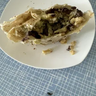 The fly from the burrito