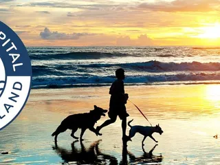 Animal Hospital of Padre Island