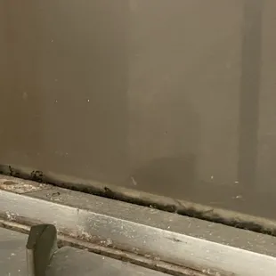 Window seal in room nasty