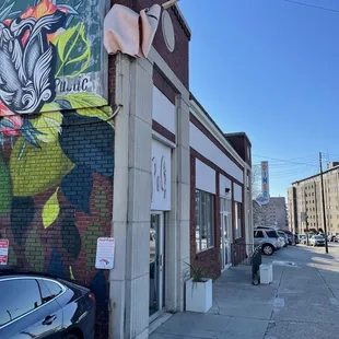 a mural on the side of a building