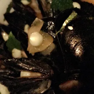 Mussels