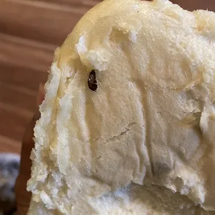 I bought their siopao from Peenoy and I found this looks like a small cockroach at the bottom! Yucky!!! I don't wanna get sick!!!