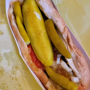 Chicago Dog, all beef