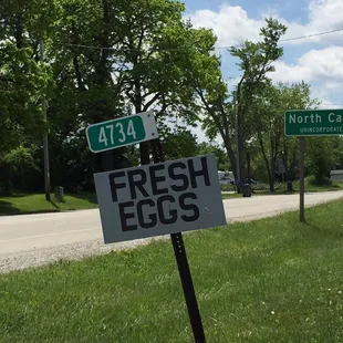 I can never resist a sign that says "fresh eggs"!