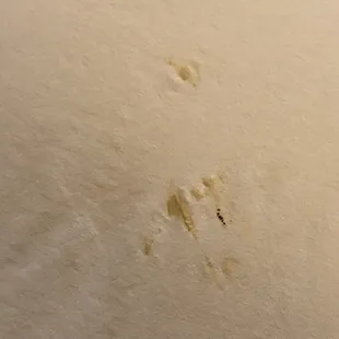 Is this a booger? Is it a snot wipe? Is it something worse? It's certainly not a clean sheet...