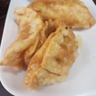 Gyoza- Friend dumplings