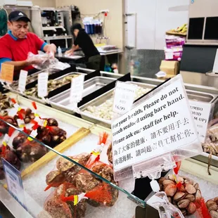 a variety of seafoods on display