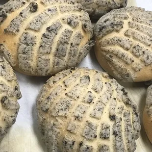 Oreo conchas