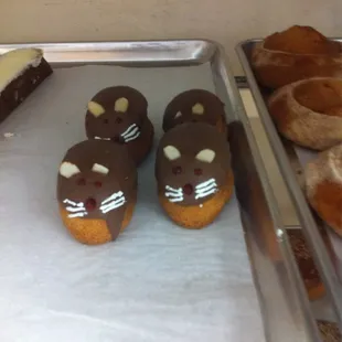 a variety of donuts and pastries