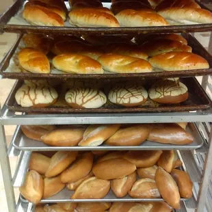 a rack of bagels