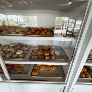 Sugar cookies, mantecadas, conchas