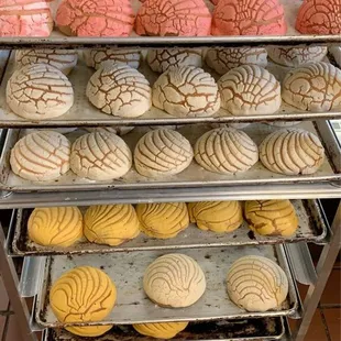 a display of baked goods
