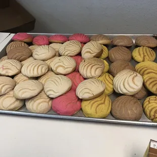 Mini conchas