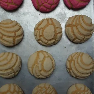 Mini conchas