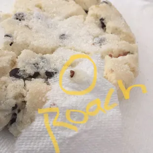 Roach crawled out of my bread