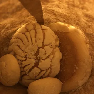 Conchas