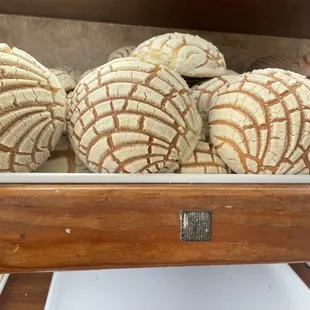 Fresh conchas