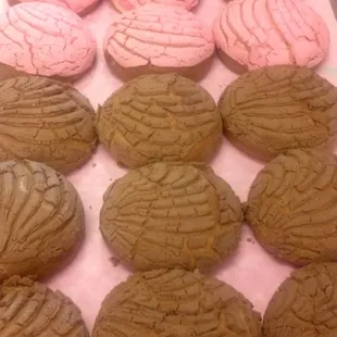 Concitas recién salidas.