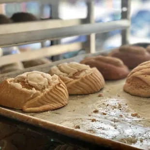 Mexican sweet bread