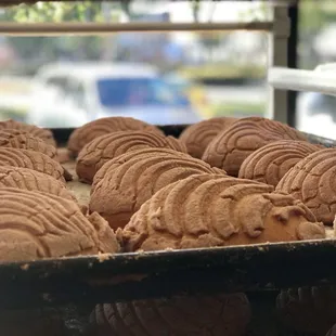 More conchas
