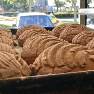Conchas de chocolate