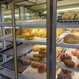 Concha front and center