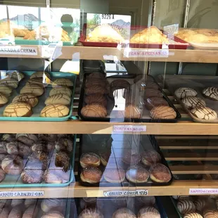 So many different pastries to choose from.