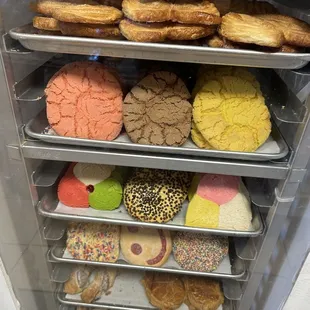 Orejas and other cookies on display in one case
