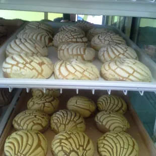 donuts, food