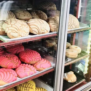 Concha pastries