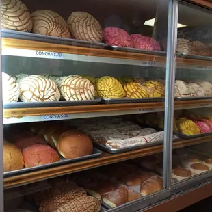 So much pan dulce (Mexican sweet bread) at this family bakery!