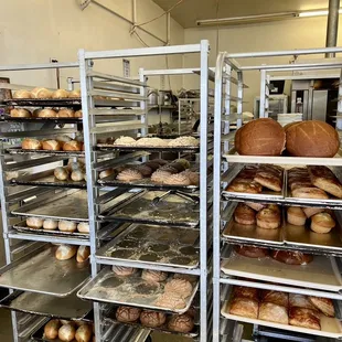 Bollilo y conchas frescas