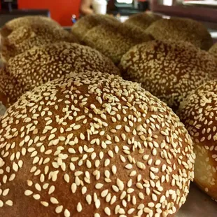 Sesame bread buns