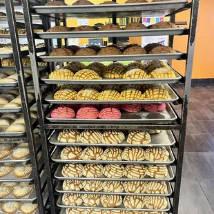 The freshest conchas