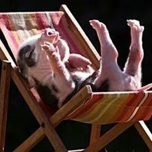 This looks better than the pancake house