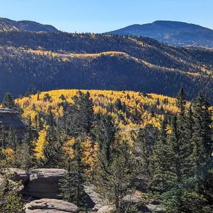 Instagram: @telephonesmoothie