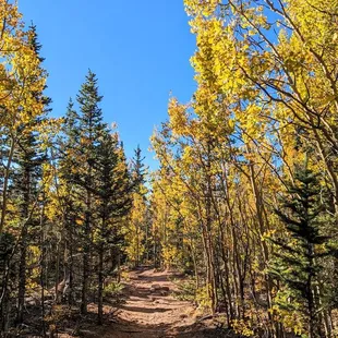 Instagram: @telephonesmoothie