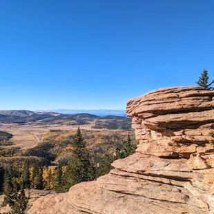 Instagram: @telephonesmoothie