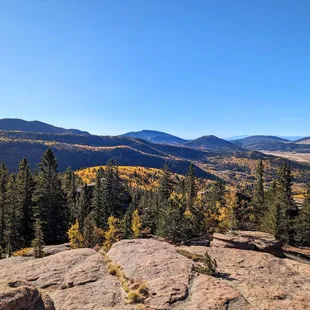 Instagram: @telephonesmoothie