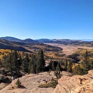 Instagram: @telephonesmoothie