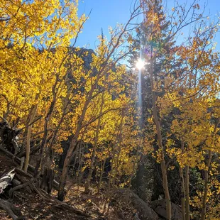 Instagram: @telephonesmoothie