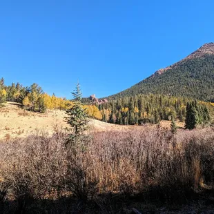 Instagram: @telephonesmoothie