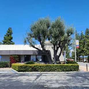 Exterior view from the parking lot