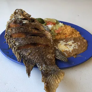 Mojara